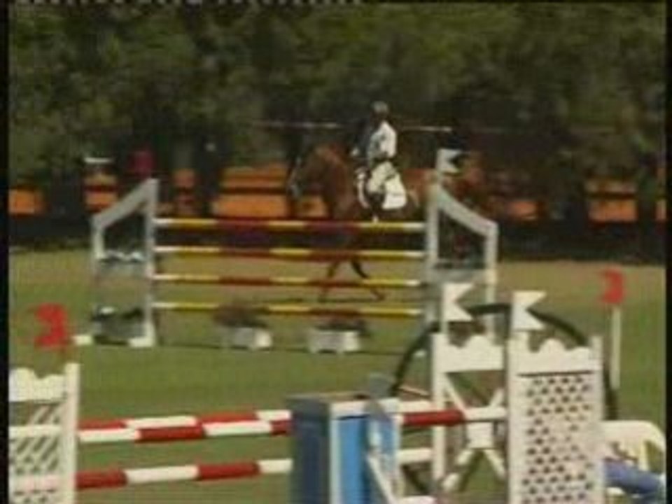 Castano Producciones - Lote 8