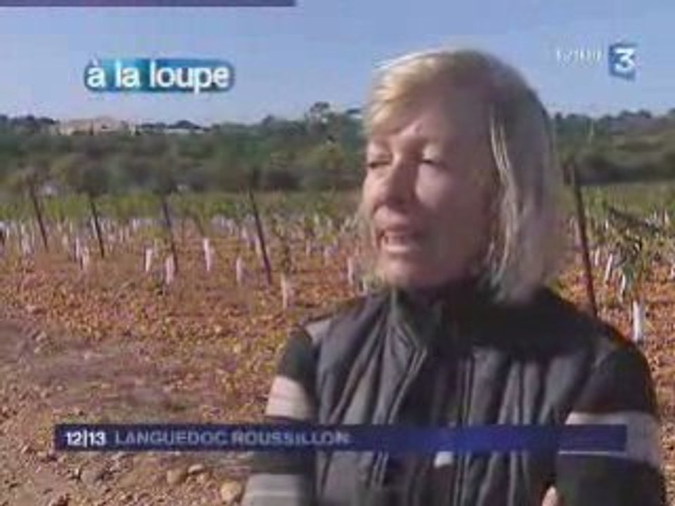 le doublement de l'A9 et ses conséquences sur le vignoble
