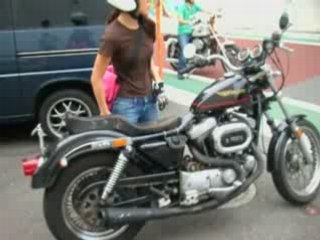 HARLEY-DAVIDSON SPORTSTER XL1100 1981