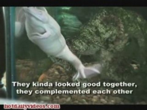 McCain and Sarah Palin Love Story