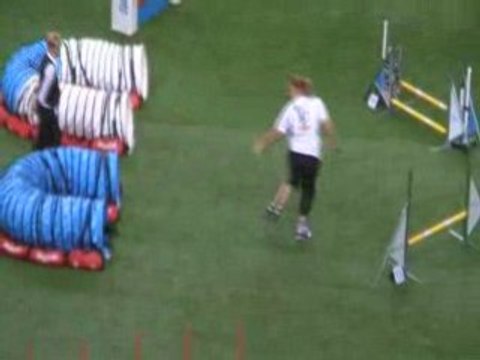 schipperke 1 championnat du monde d'agility