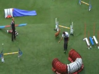 Nova Scottia 2 Championnat du monde d'agility