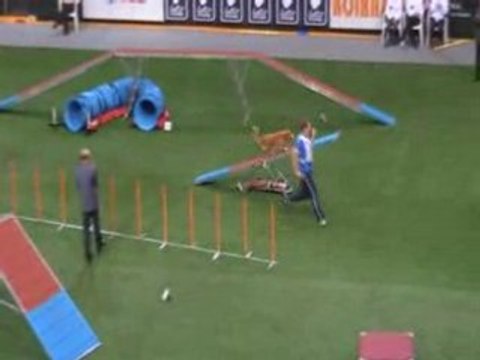 Nova Scottia 5 Championnat du monde d'agility