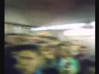 A Marcha dos Pingüins na Estação da Luz