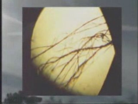 Chemtrails - nuages de la mort (Don Croft 1/2)