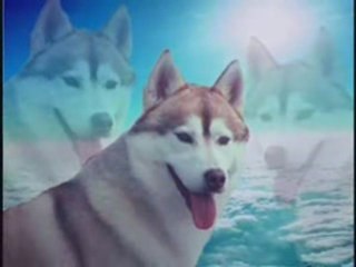 sasa lendero za tvoj rojstni dan