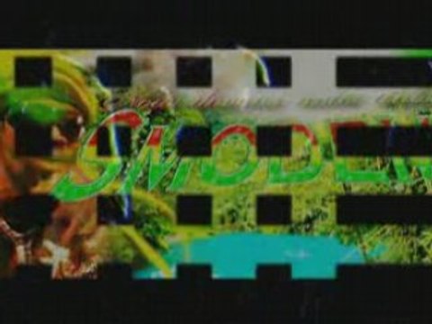 Smodem je vis ma vie