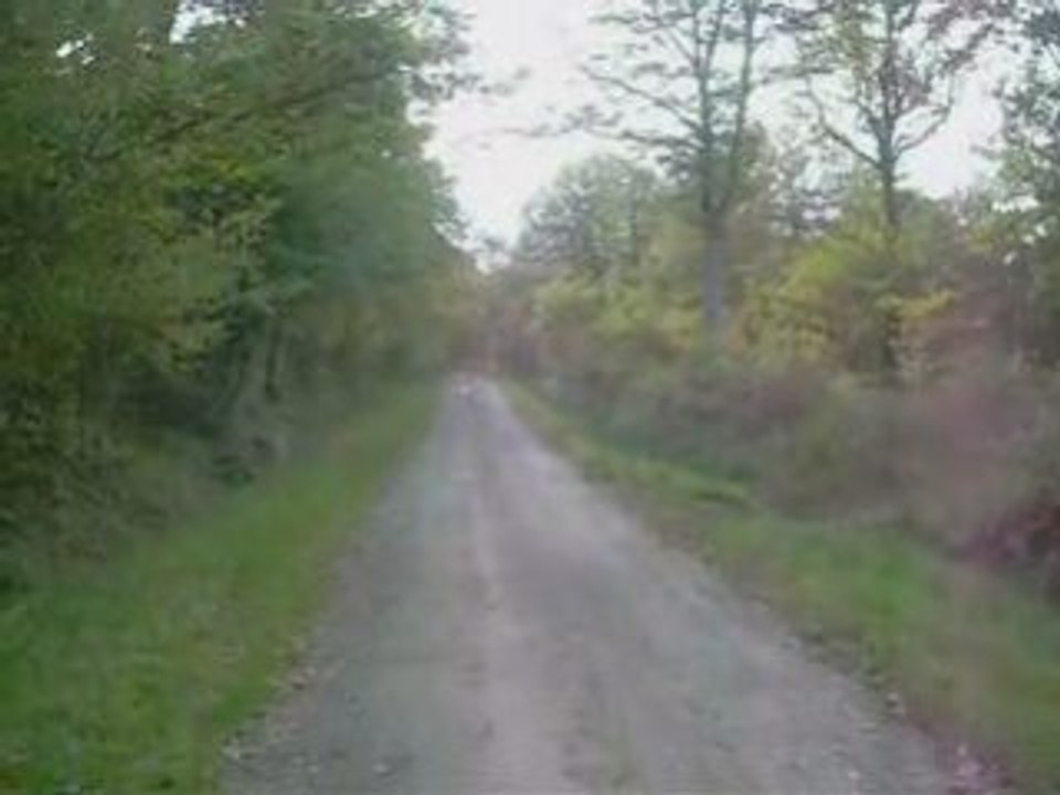 Devant et arrêt gibier