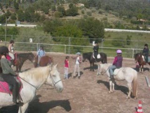 Le centre equestre La jument pie