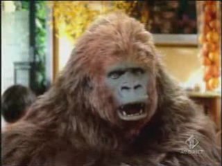 Pubblicità - Crodino - Gorilla & Casinò