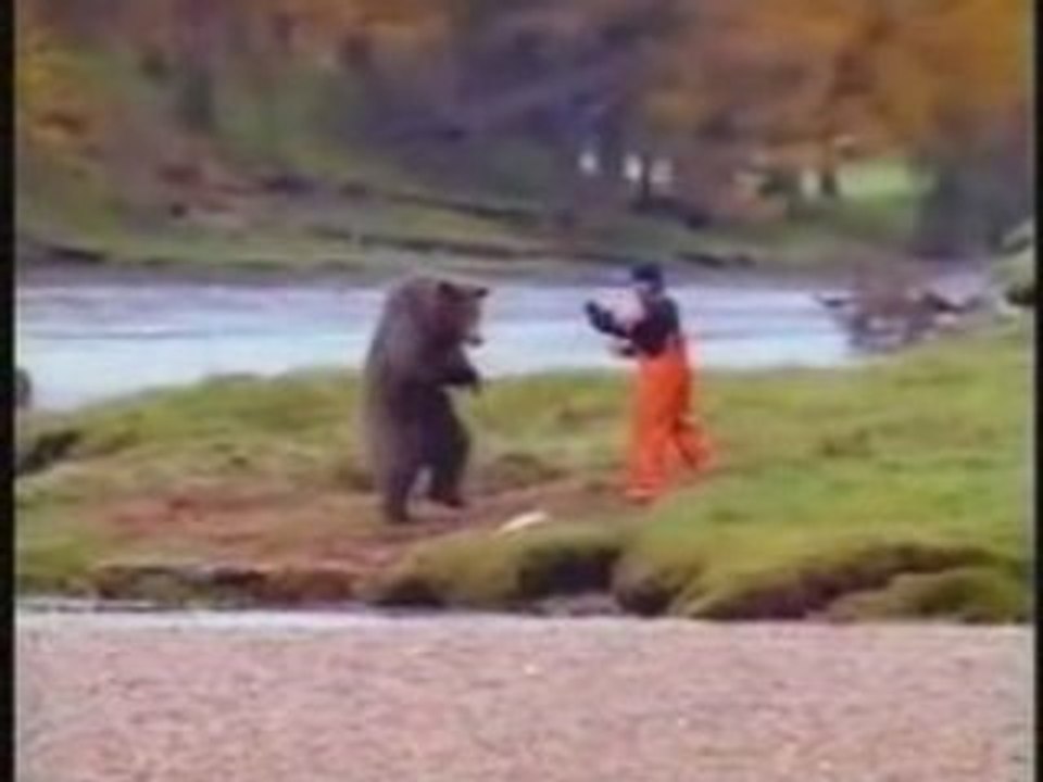Combat d'ours !