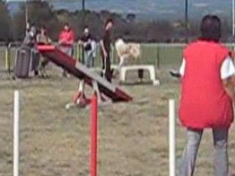 Carcassonne gpf maybe garrigue(1)