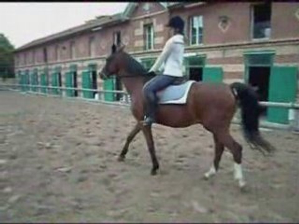 A cheval