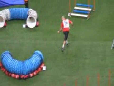 Weimar 1 Championnat du monde d'agility