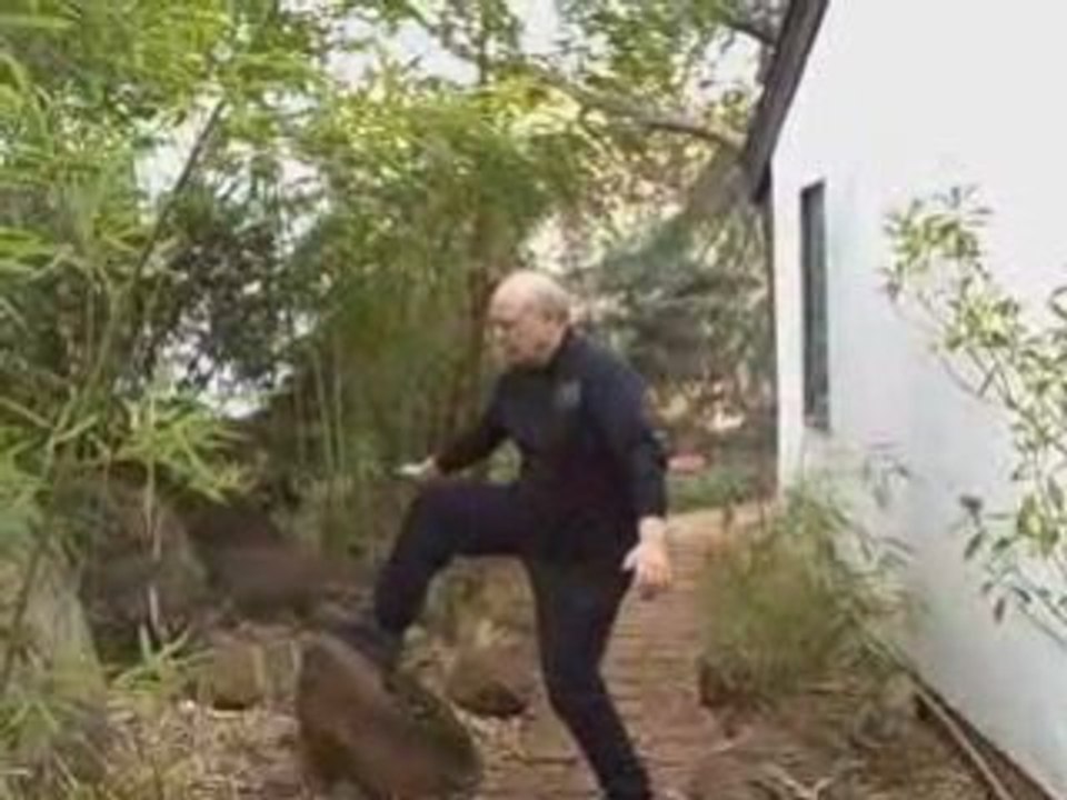 ninjaabuddhaa trance dance-feel the energy