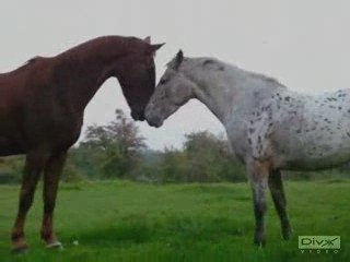 Instants magiques ..