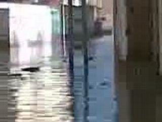 inondation ghardaia 2008