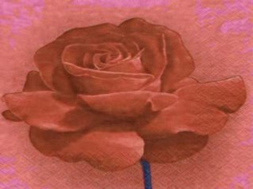 Shake rien n'est plus beau que l'amour