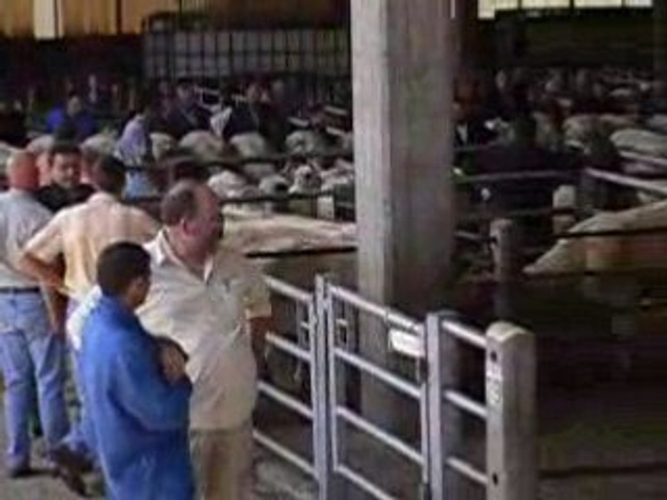 la foire à St Christophe
