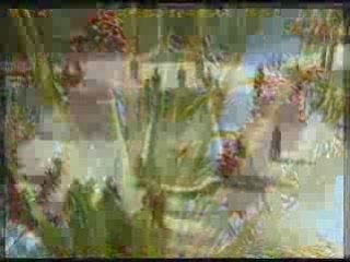 Medyen Kavminin Özellikleri  Bölüm 2