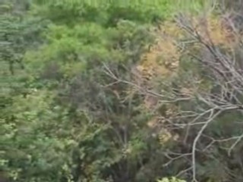 The mountain of Copacabana and the sugar loaf
