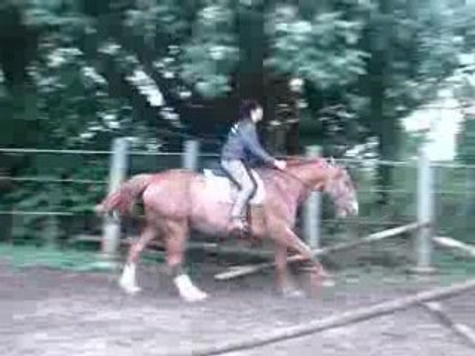 Photo 072
