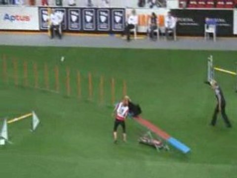 Berger Croate Championnat du monde d'agility