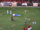 Kooikerhonje Championnat du monde d'agility