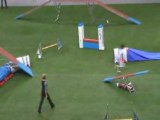 Manchester terrier 2 Championnat du monde d'agility