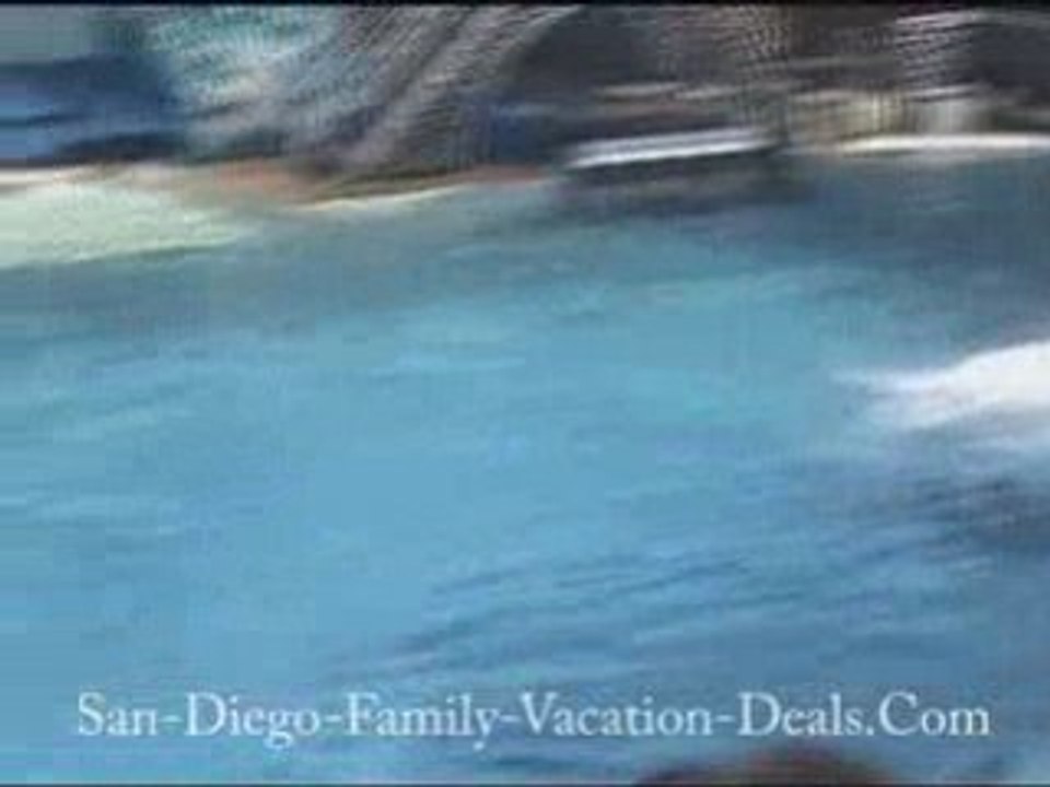 Sea World, San Diego-- Believe Show Part 2 highlights