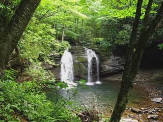 Deep Forest Waterfalls