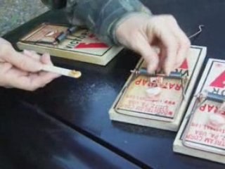 Baiting A Rat Trap