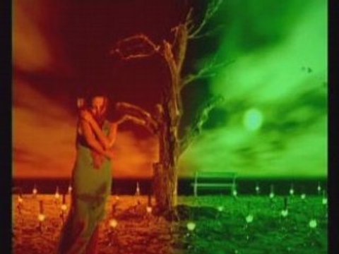 Bien nho - Xin con goi ten nhau - Quang Dung