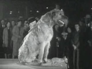 American Propaganda Films - All in One