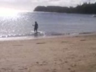 Videos baie des citrons