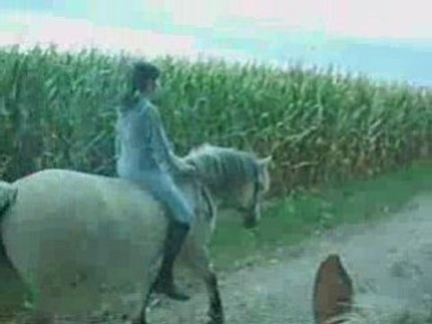 Balade avec Kelly :)