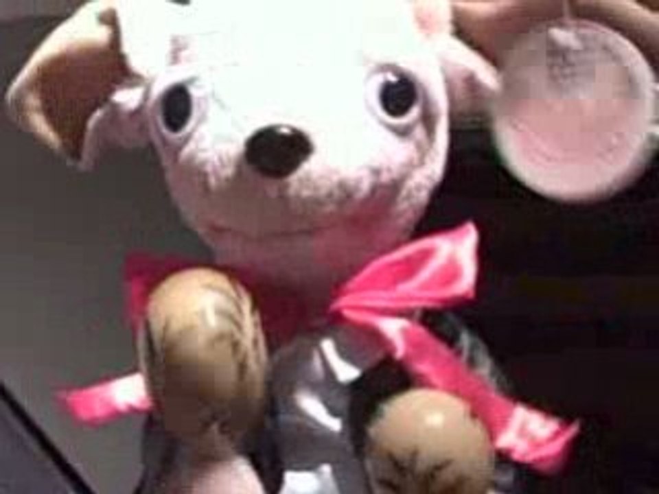 Music Boxes - Animated Musical Singing Chihuahu