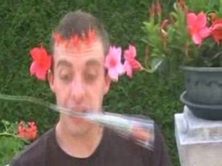 Anniversaire mac fly 29ans