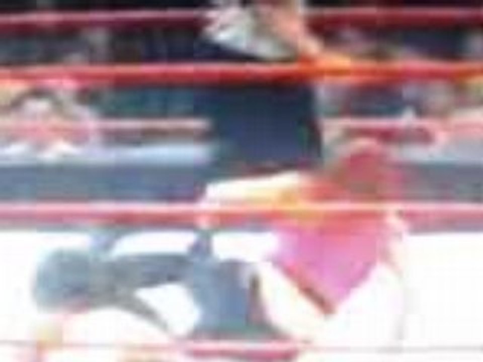 lita vs gim