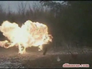 Experiment Gone Bad