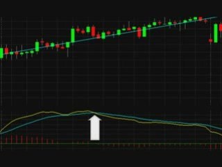 Debunking MACD - Compelling Evidence of Fraud!