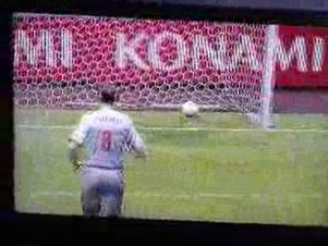 Demo PES 2009 Gardien Taupe