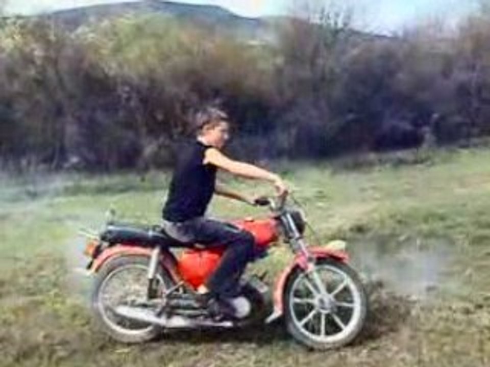 Besniq gudjovec