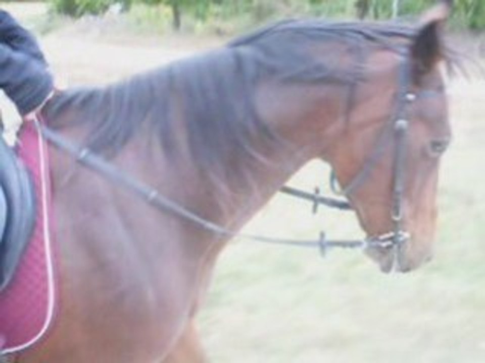 Cadence en place octobre 2008