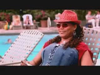 Bringing Down the House (2003)