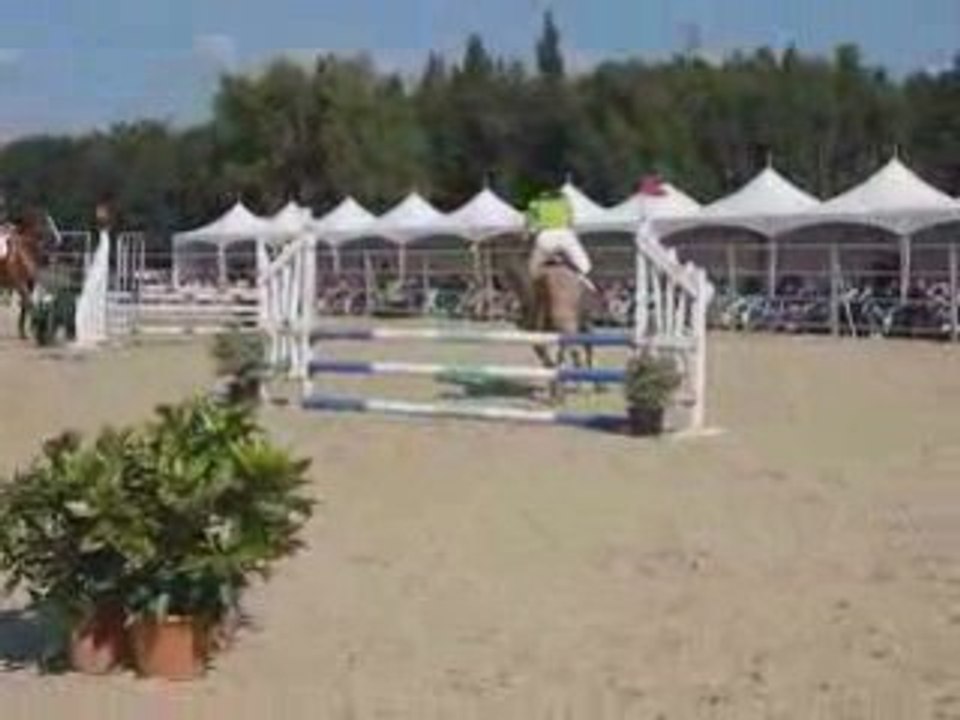 démo avec andy et francis, journées éthologiques 2008