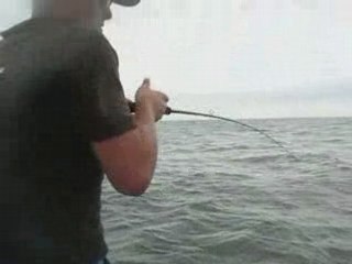 Les poissons de mai juin 2008 bis