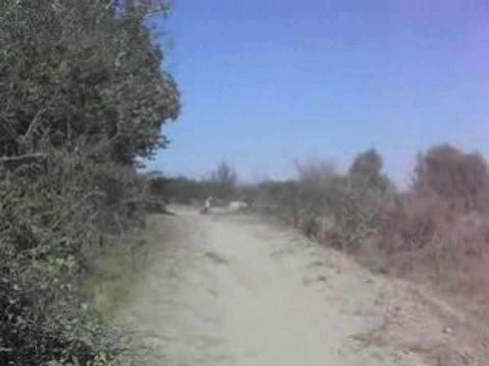 CIMG1262