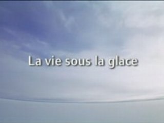 Planète Terre 2_6 - La Vie sous la Glace 1_3