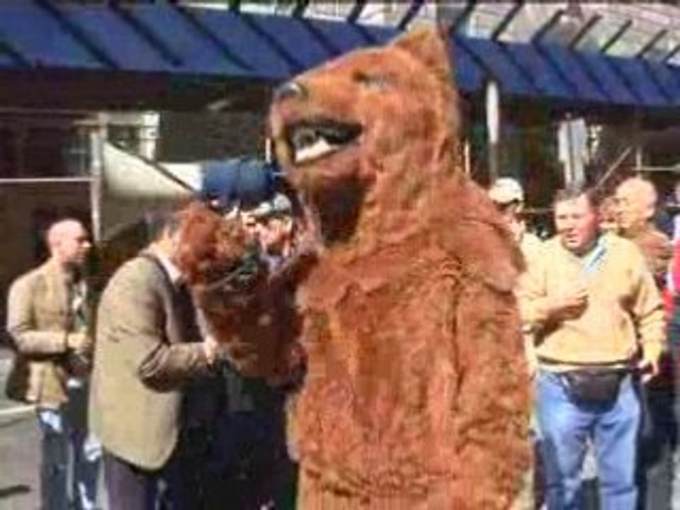 Bear Market!